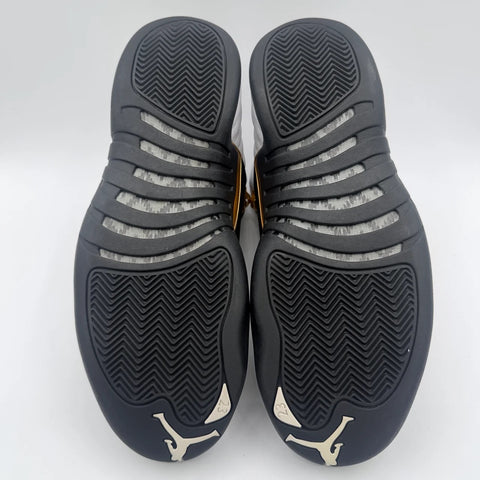 Air Jordan 12 Retro 'Royalty Taxi (2025)' | US M 9.5