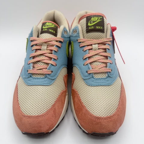 Nike Air Max 1 'Light Madder Root Worn Blue (2022)' | US M 8 (No Box)