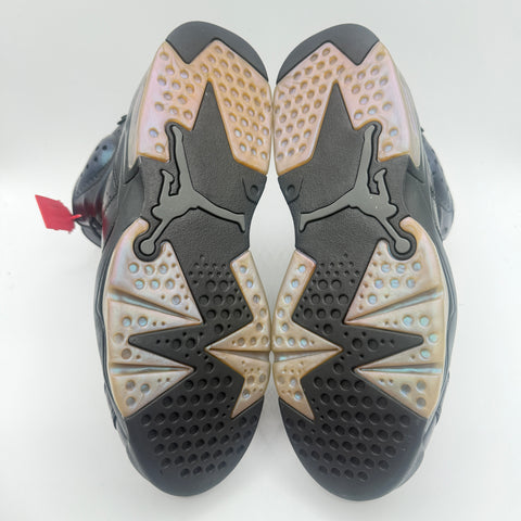 Air Jordan 6 Retro 'All Star Chameleon (2017)' | US M 10 (No Box)