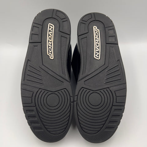 Air Jordan 3 Retro 'Black Cat (2025)' | US M 9