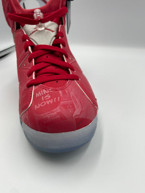 Air Jordan 6 Retro "Slam dunk (2014)" | US M 8