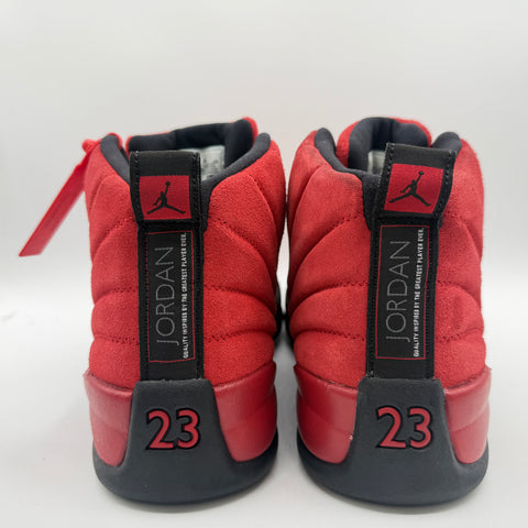 Air Jordan 12 Retro 'Reverse Flu Game (2020)' | US M 10.5