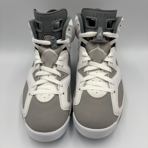 Air Jordan 6 Retro 'Cool Grey (2023)' | US M 8.5 (No Box)
