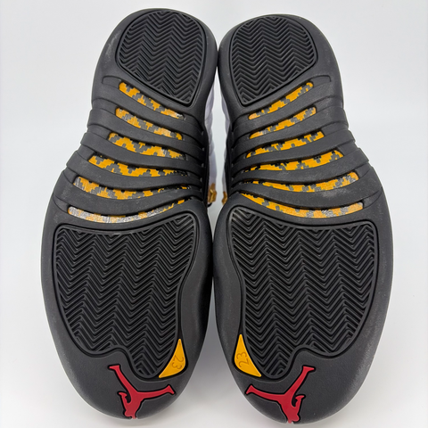 Air Jordan 12 Retro 'Taxi (2025)' | US M 9