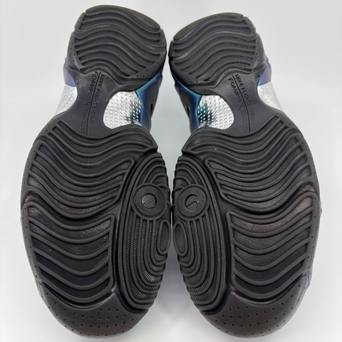 Nike Air Flightposite 'Dusty Cactus (2025)' | US M 9.5