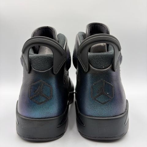 Jordan 6 Retro `All-Star Chameleon (2017)` | US M 11