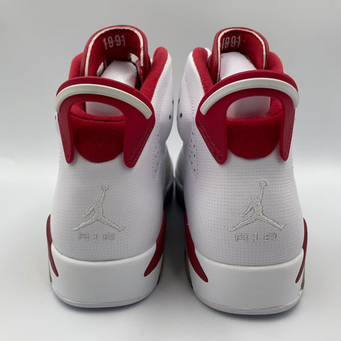 Air Jordan 6 Retro 'Alternate Hare (2017)' | US M 10.5