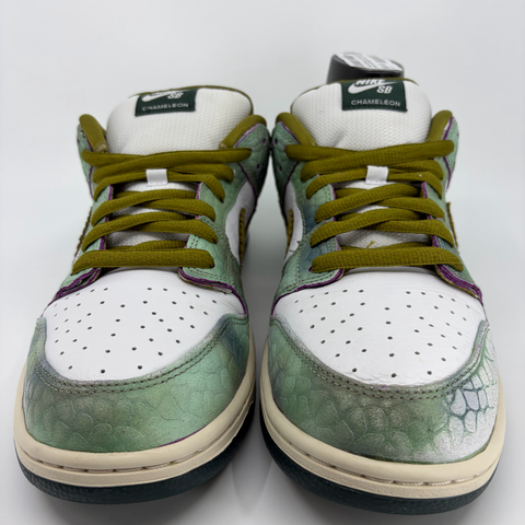 Nike SB Dunk Low 'Alexie Sablone Chamelon (2024)' | US M 13 (No Box)