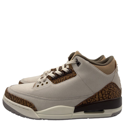 Air Jordan 3 Retro 'Polomino (2025)' | US M 10