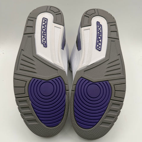 Air Jordan Dark Iris 3 | US M 11