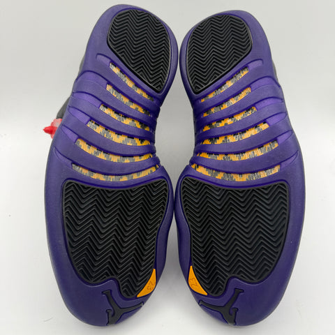 Air Jordan 12 Retro 'Field Purple (2023)' | US M 10.5 (No Box)