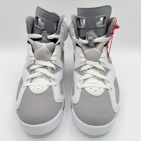 Air Jordan 6 Retro 'Cool Grey (2023)' | US M 9.5