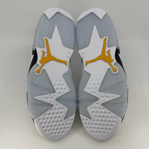 Air Jordan 6 Retro 'Yellow Ochre (2024)' | US M 10