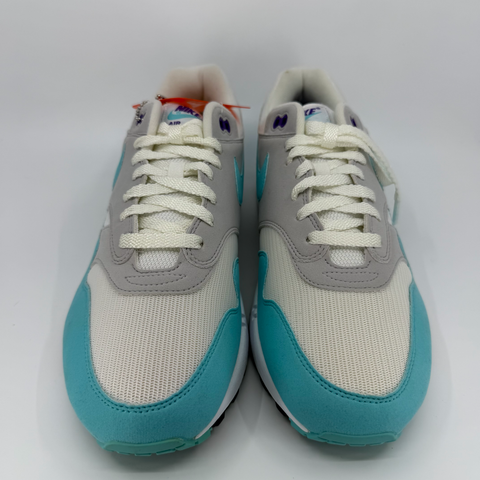 Nike Air Max 1 'Anniversary Aqua (2018)' | US M 12