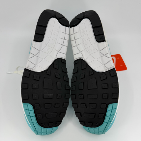 Nike Air Max 1 'Anniversary Aqua (2018)' | US M 12