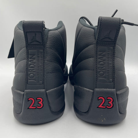 Air Jordan 12 Retro 'Bloodline (2026)' | US M 10.5
