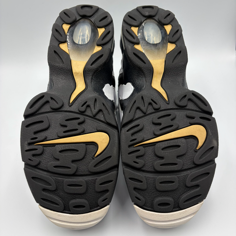 Nike Air Max 'DT Max `96 `Black White (2024)' | US M 10