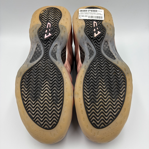 Nike Air Foamposite One 'Cherry Blossom (2024)' | US M 10.5 (No Box)